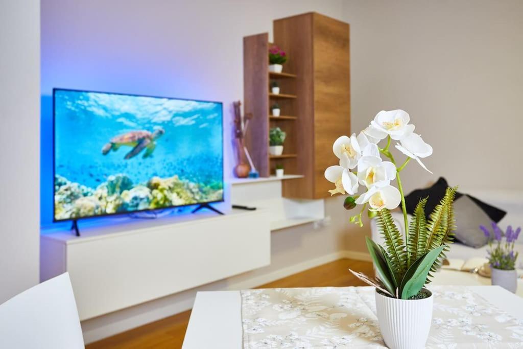 Center Aviano Comfort Suite Free Parking Wifi Экстерьер фото